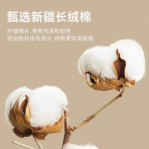 【圈】【加绒】【新款DX】大依优型大码男装新款加绒卫衣印花圆领保暖长袖加厚肥佬 商品图3