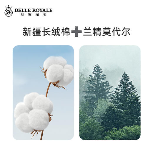 皇家丽美新款兰精莫代尔长绒棉家居服睡衣春秋长袖套装女款猫咪印花JJT90044 商品图4