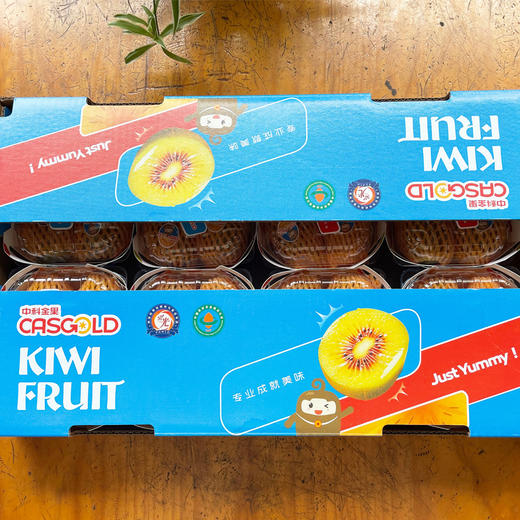 【礼盒装】红心猕猴桃  8盒装/件 商品图0