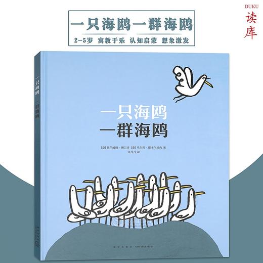 一只海鸥一群海鸥 读小库 商品图0