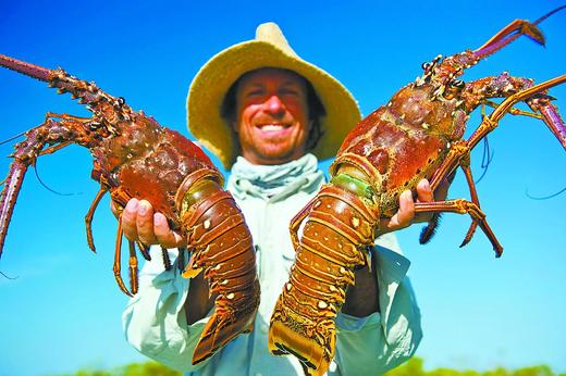 熊小爱古巴大龙虾 商品图4