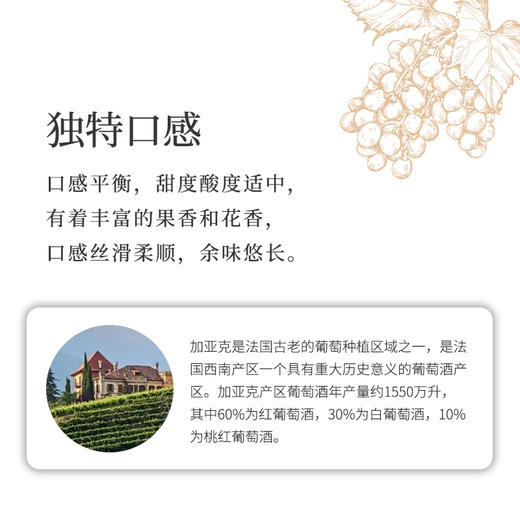法国进口泉水之恋甜白葡萄酒500ml 商品图3
