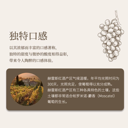 西班牙进口淑女浅色克莱姆雪莉葡萄酒750ml 商品图3