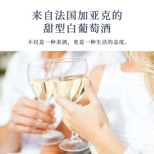 法国进口泉水之恋甜白葡萄酒500ml 商品图2