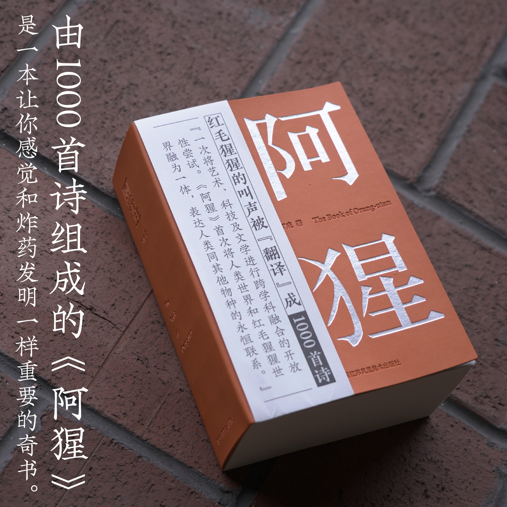 阿猩