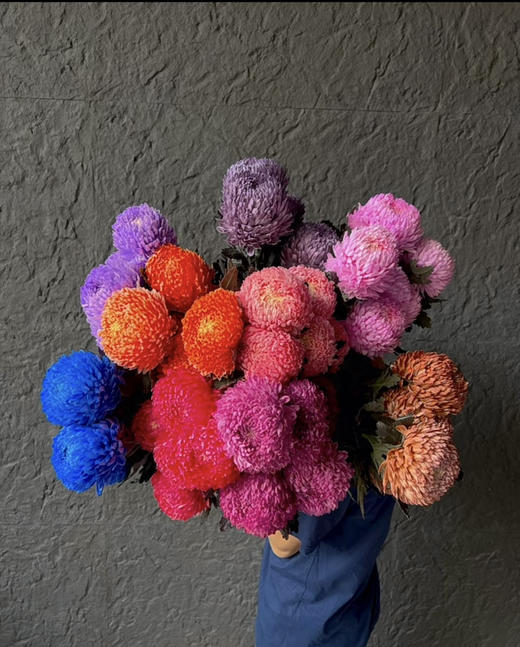 【炫彩缤纷】进口牡丹菊  多色可选  5枝/扎 商品图0