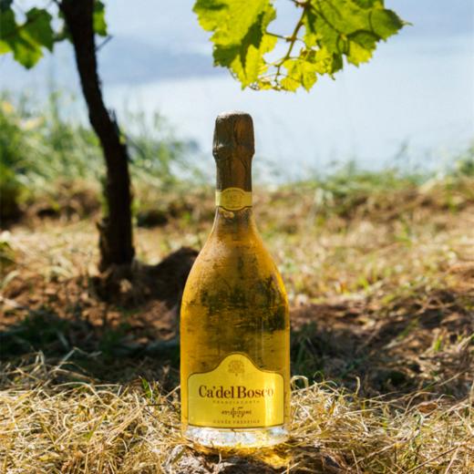 博斯克酒庄起泡白葡萄酒NV Ca'del Bosco Cuvee Prestige Brut, Franciacorta DOCGNV 商品图0