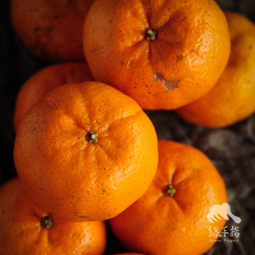 生态永春芦柑 （中通快递）| 合作生产*Eco-Citrus | Coproduction 商品图1