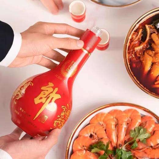 郎酒 53° 红花郎10年 500ml 商品图1