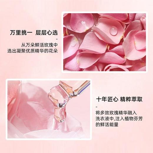 麦卡洛 活力玫瑰洗衣液5kg 商品图4