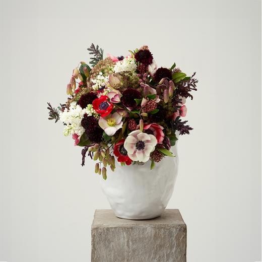 野莓浆果Berries 商品图0