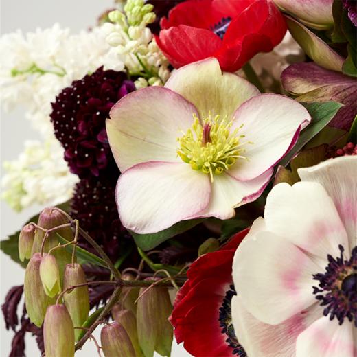 野莓浆果Berries 商品图2