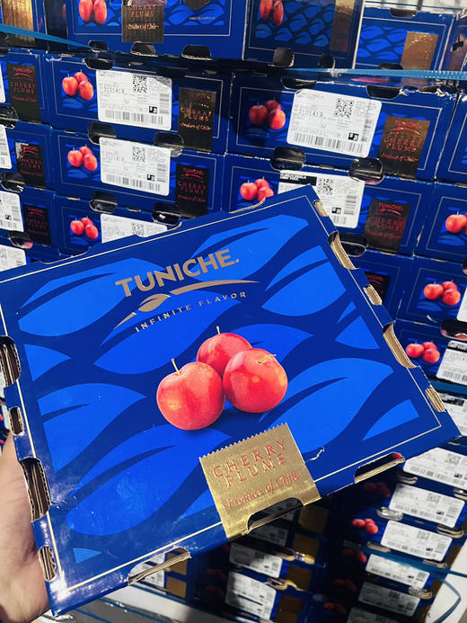 智利樱桃李，珍贵品种，每年季节超短，且货源稀缺，十分抢手，它是传统李子和樱桃的结合，既拥有浓郁的李子味，又拥有樱桃多汁，超级好吃！ 商品图6