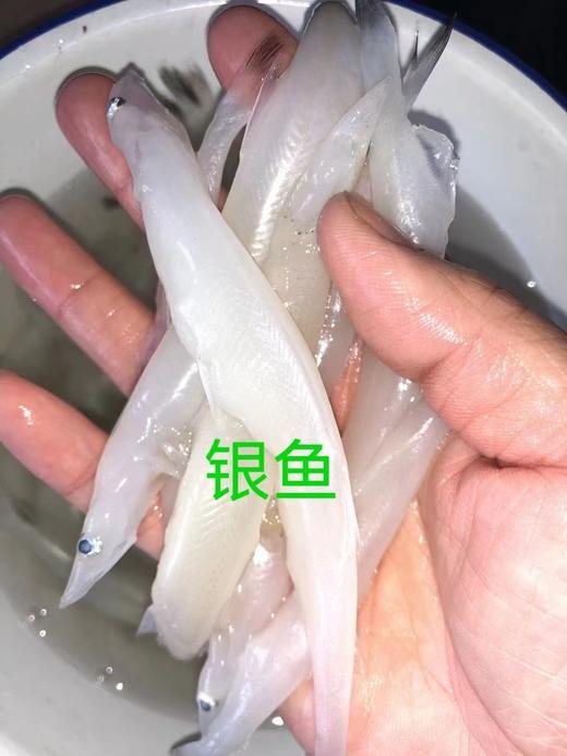 【每周二、周五发货】野生水库鱼【产地直发】@野鱼江湖 商品图1