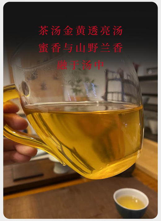 生普 | 2022年 磨烈古树 龙珠100g灌 罐装 商品图2