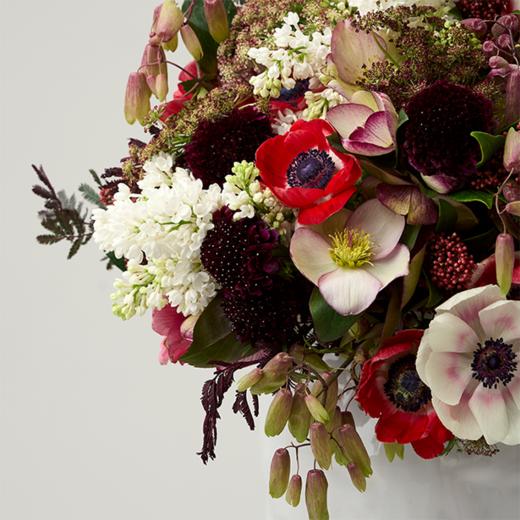 野莓浆果Berries 商品图1