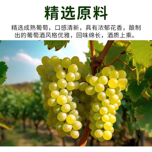 【有机】西班牙进口维诺杜斯有机甜白葡萄酒500ml 商品图2