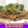 【青葫芦】3D恐龙立体书：恐龙探秘 3-6岁 进入3D立体世界，超震撼立体呈现，揭秘恐龙世界，带给孩子非凡智慧的科学盛宴。 商品缩略图3