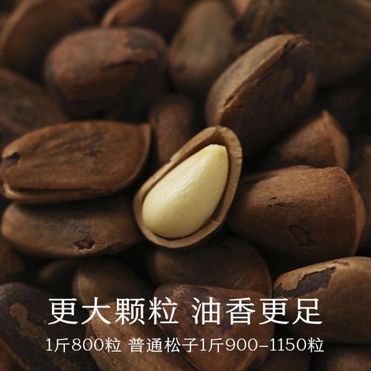 南食召 基本松子 商品图1