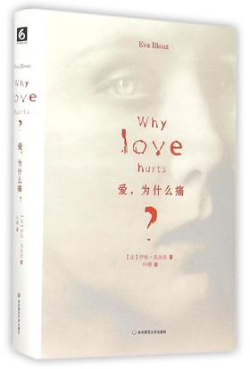 爱，为什么痛？（法）伊娃·易洛思 著