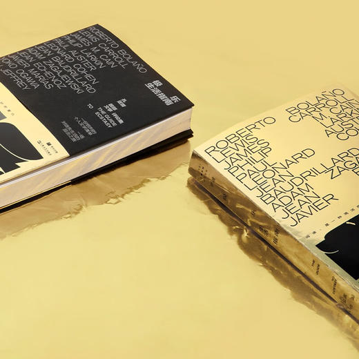 极乐生活指南 孔亚雷 首部文学评论集 单读书系 商品图4