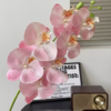 年宵花 高炸裂7D立体仿真蝴蝶兰--手感保湿绣球--高端天堂鸟-垂吊鸟-百合-红掌 商品缩略图4