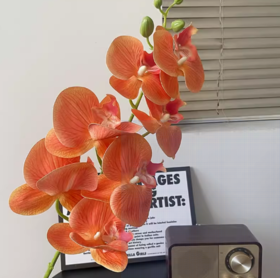 年宵花 高炸裂7D立体仿真蝴蝶兰--手感保湿绣球--高端天堂鸟-垂吊鸟-百合-红掌