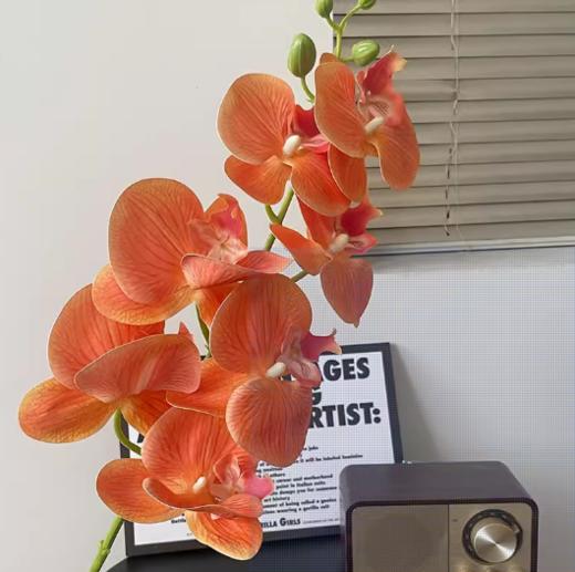 年宵花 高炸裂7D立体仿真蝴蝶兰--手感保湿绣球--高端天堂鸟-垂吊鸟-百合-红掌 商品图0