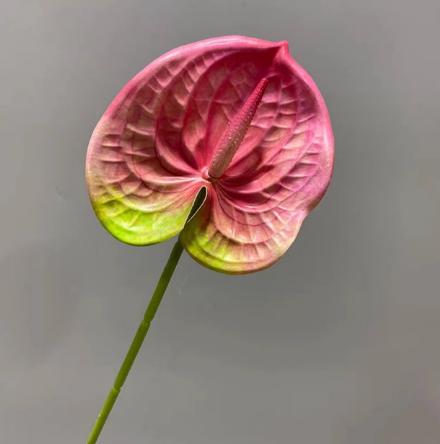 年宵花 高炸裂7D立体仿真蝴蝶兰--手感保湿绣球--高端天堂鸟-垂吊鸟-百合-红掌 商品图10