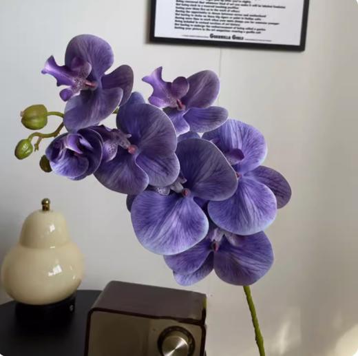 年宵花 高炸裂7D立体仿真蝴蝶兰--手感保湿绣球--高端天堂鸟-垂吊鸟-百合-红掌 商品图1