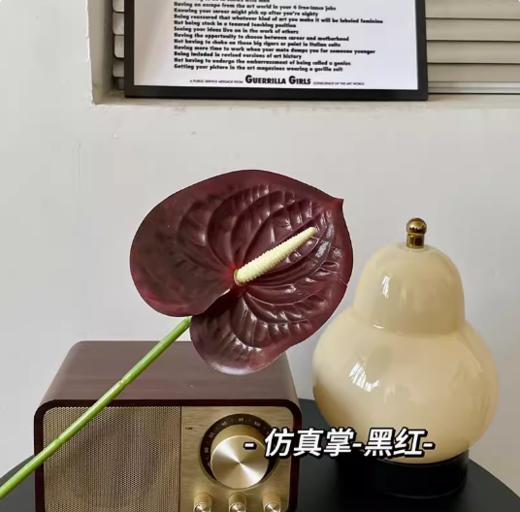 年宵花 高炸裂7D立体仿真蝴蝶兰--手感保湿绣球--高端天堂鸟-垂吊鸟-百合-红掌 商品图11