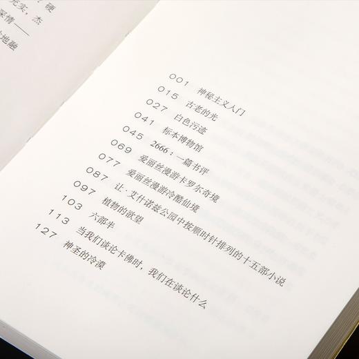 极乐生活指南 孔亚雷 首部文学评论集 单读书系 商品图6