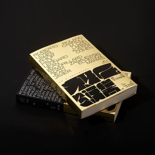 极乐生活指南 孔亚雷 首部文学评论集 单读书系 商品图3