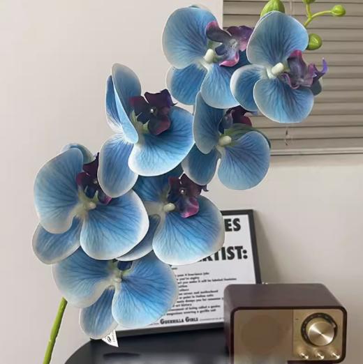 年宵花 高炸裂7D立体仿真蝴蝶兰--手感保湿绣球--高端天堂鸟-垂吊鸟-百合-红掌 商品图5