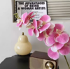 年宵花 高炸裂7D立体仿真蝴蝶兰--手感保湿绣球--高端天堂鸟-垂吊鸟-百合-红掌 商品缩略图3