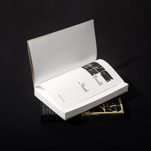 极乐生活指南 孔亚雷 首部文学评论集 单读书系 商品图5