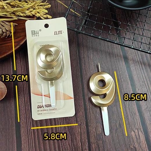 N09 数字生日蜡烛（数字9） 商品图0