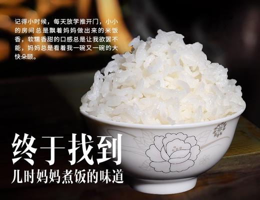 徐府帝稻有机五常大米10斤 商品图1