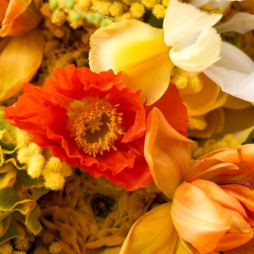 加利佛尼亚黄昏Dusk in California 商品图2