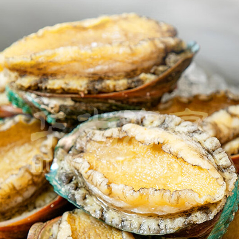 华光海宴 鲍鱼8头 418g/盒