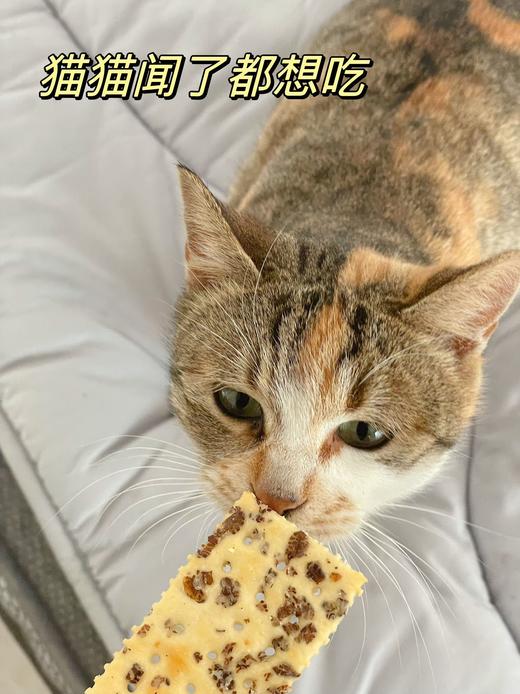 【A3爱你们-海盐饼干1kg】 Anemon3爱你们海盐苏打饼干”盒马同款“ 一口飞到欧洲地中海，从不吃苏打饼干的我这次滑跪了 吊打同类苏打饼干，健身党，熬夜，看球党的零食， 商品图5