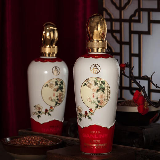 52°五粮液仙林生态酒业有限公司出品 华彩人生 500ml*6瓶 商品图6