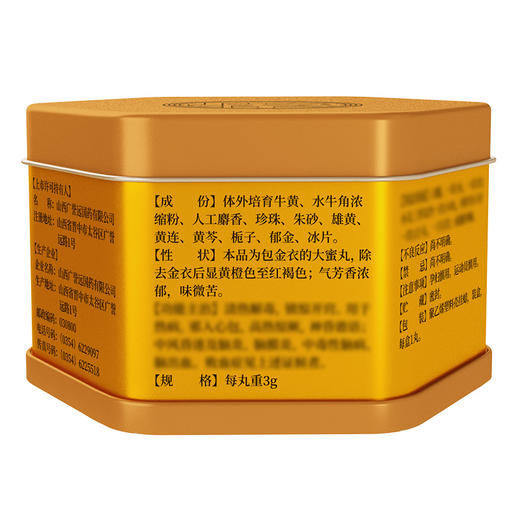 【单丸装】安宫牛黄丸3g*1丸 商品图1