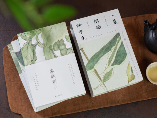 《一蓑烟雨任平生: 苏轼词》珍藏版全3册丨全注全解，一次读懂苏东坡 商品图5