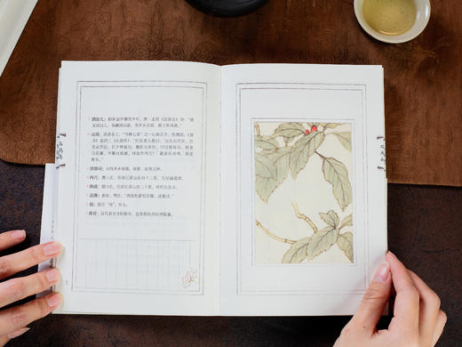 《一蓑烟雨任平生: 苏轼词》珍藏版全3册丨全注全解，一次读懂苏东坡 商品图10