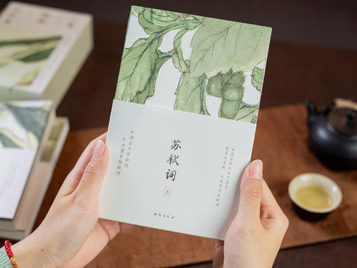 《一蓑烟雨任平生: 苏轼词》珍藏版全3册丨全注全解，一次读懂苏东坡 商品图8