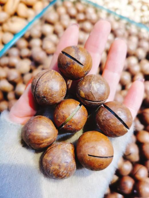 精品夏威夷一斤 商品图0