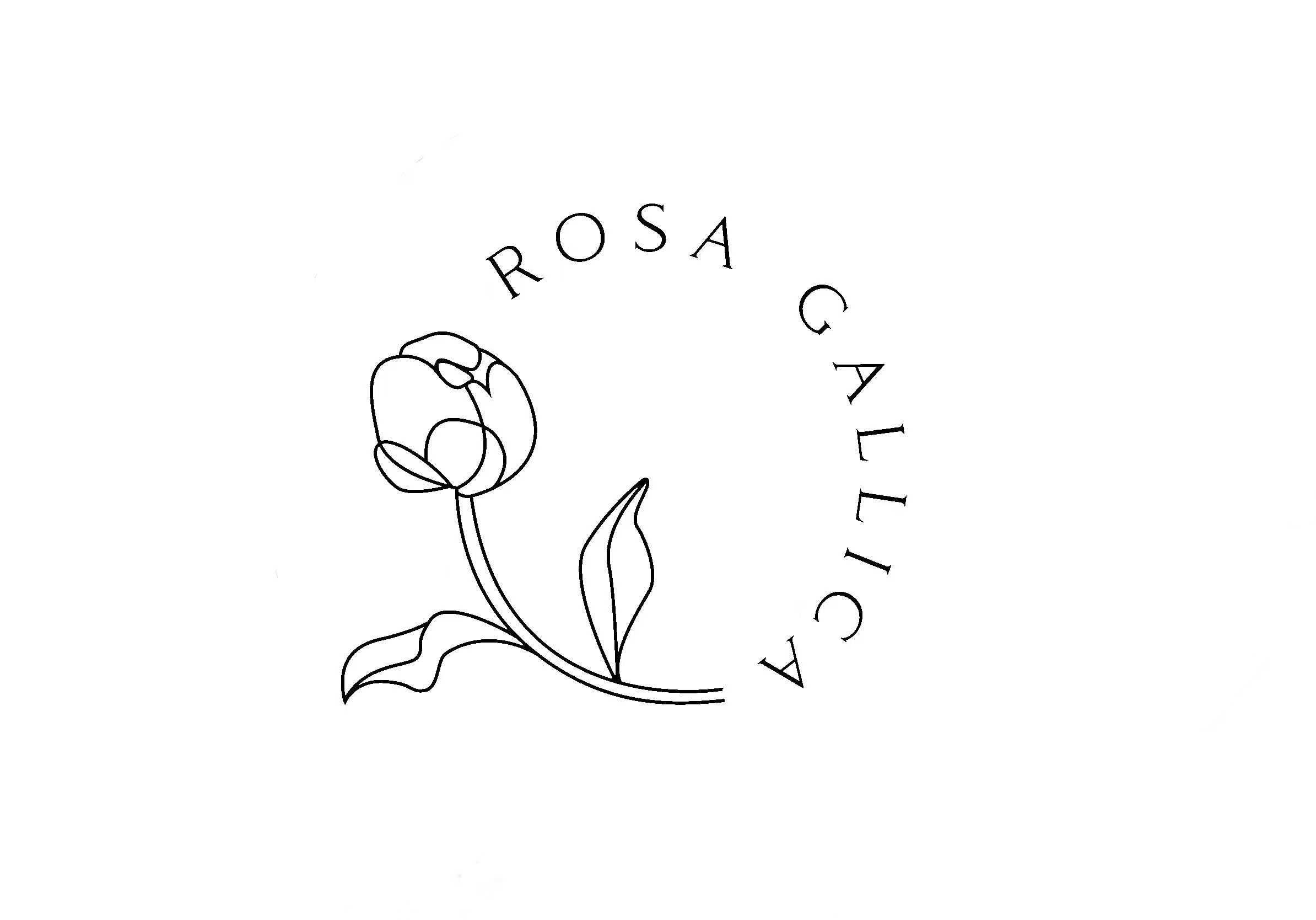 Rosa Gallica (flowers)250918