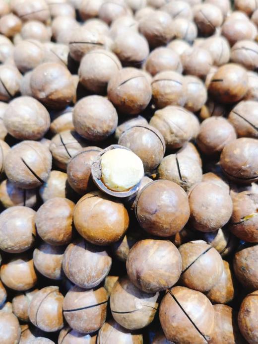 精品夏威夷一斤 商品图1