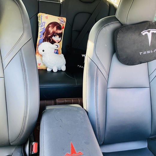 特斯拉 Model 3 标准续航后驱升级版【长租-北京】 商品图7